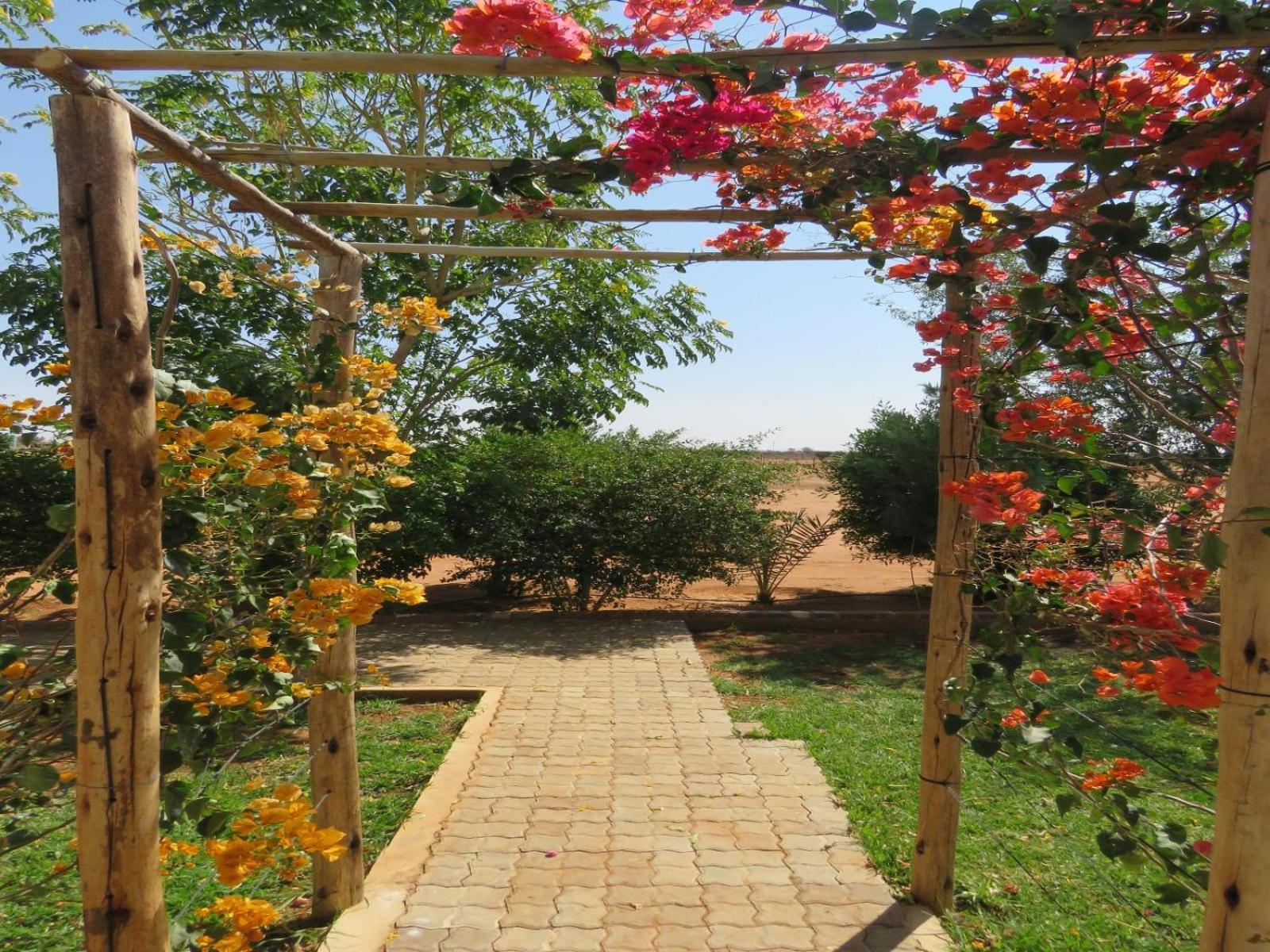 Готель Tropic Of Capricorn Guest Farm Rehoboth Екстер'єр фото