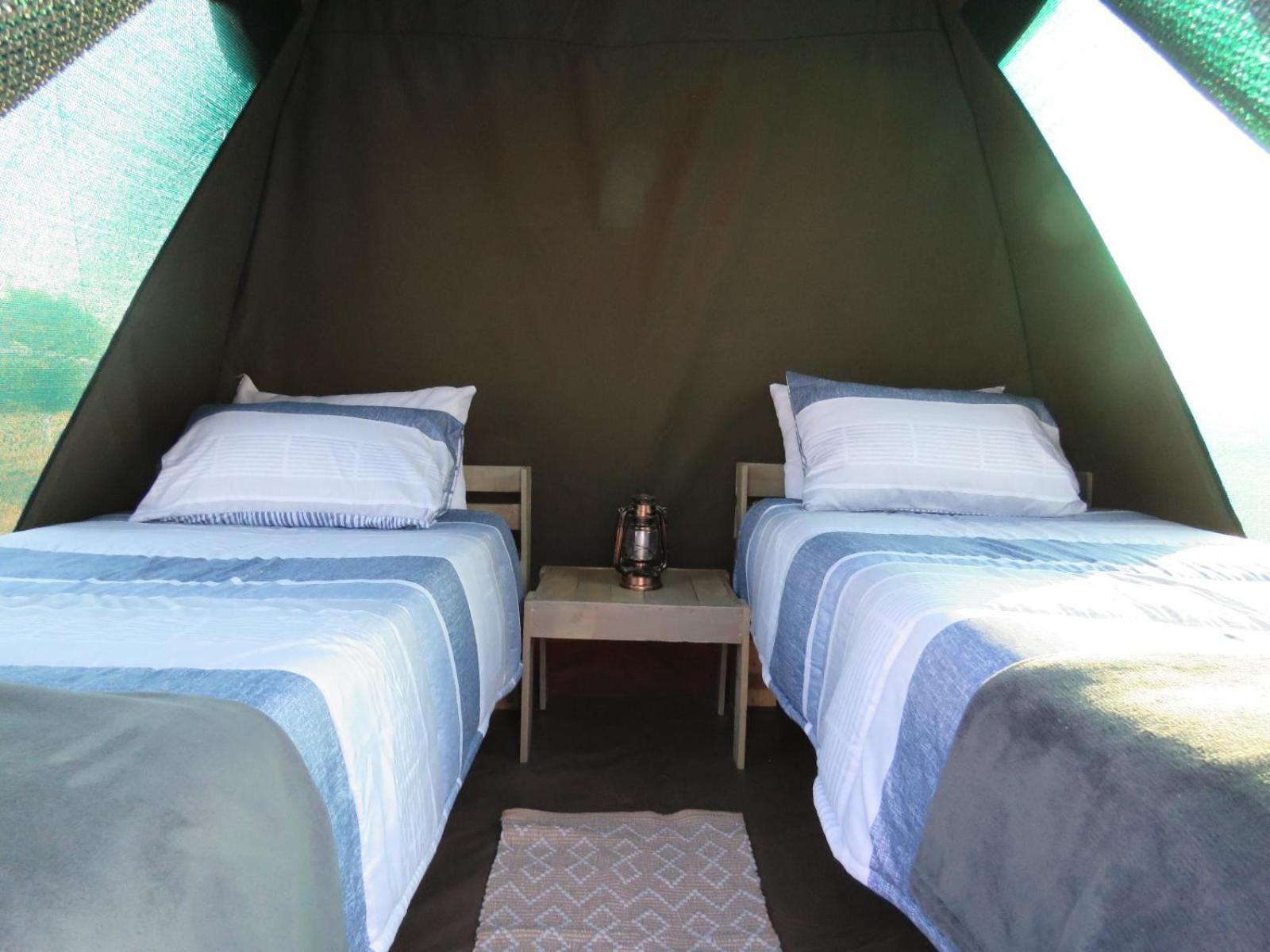 Готель Tropic Of Capricorn Guest Farm Rehoboth Номер фото